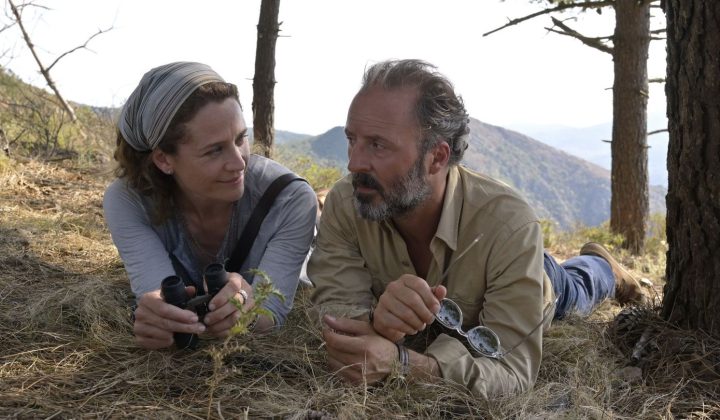Ein Sommer auf Elba“: ZDF wiederholt beliebten „Herzkino“-Film