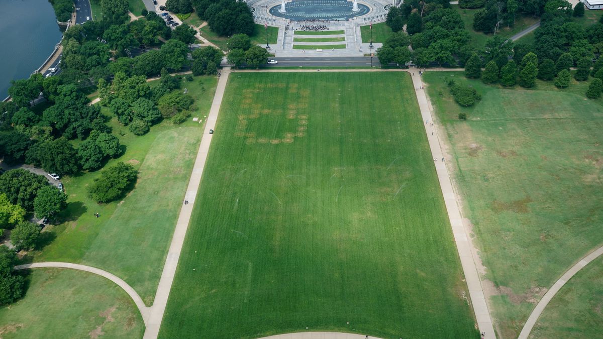 Unbekannte schreiben Zahlenbotschaft »8647« auf Rasen in Washington D.C.