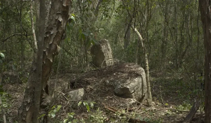Unberührte Maya-Stätte „Minanbé“ im mexikanischen Dschungel entdeckt