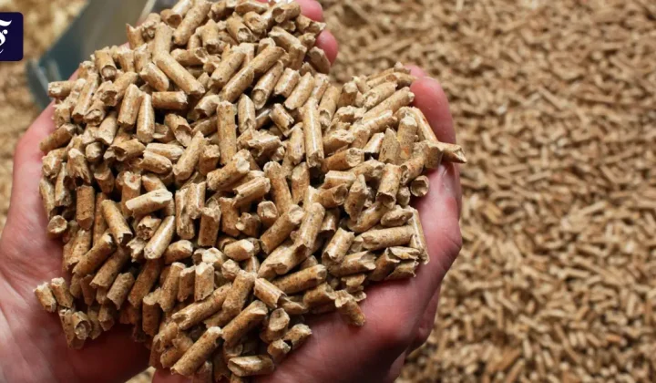 Offenbachs Pelletwerk schließt: Fläche wird für neue Unternehmen frei
