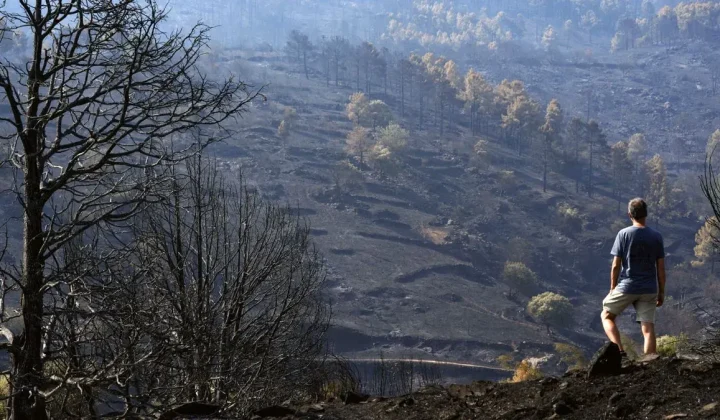 Munich Re warnt vor steigenden Waldbrandschäden – auch Filmproduktionen zunehmend betroffen