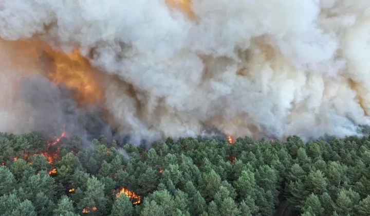 Hitzewelle in Frankreich: Waldbrand nahe Paris, Atomreaktoren gedrosselt