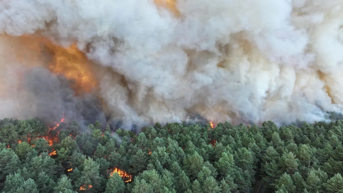 Hitzewelle in Frankreich: Waldbrand nahe Paris, Atomreaktoren gedrosselt