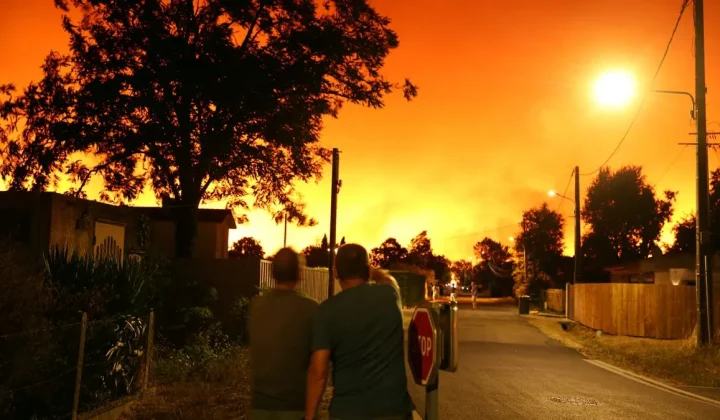 Warum wir den Spiegel-Artikel über Waldbrände nicht bringen