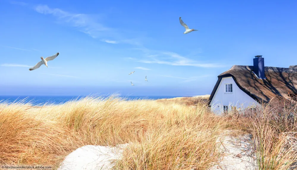 DVB-T2 im Ausland: So empfangen Sie unverschlüsseltes Fernsehen im Urlaub