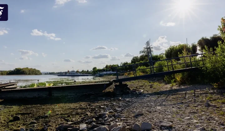 Kein redaktioneller Beitrag: Rheinpegel-Meldung liegt außerhalb des Themenspektrums