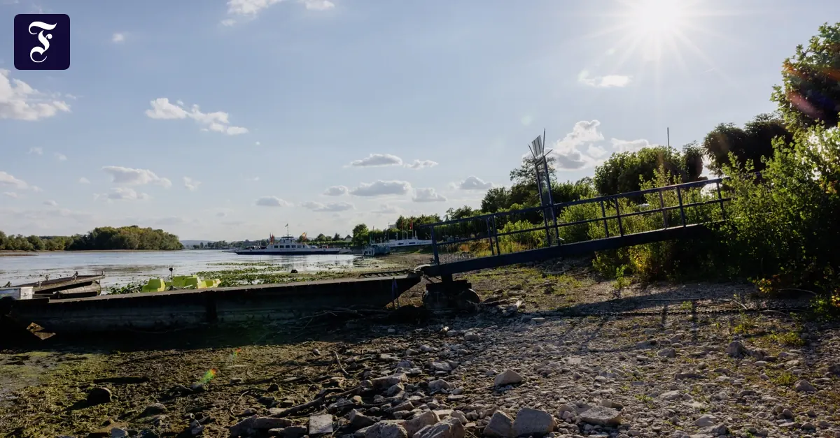 Kein redaktioneller Beitrag: Rheinpegel-Meldung liegt außerhalb des Themenspektrums