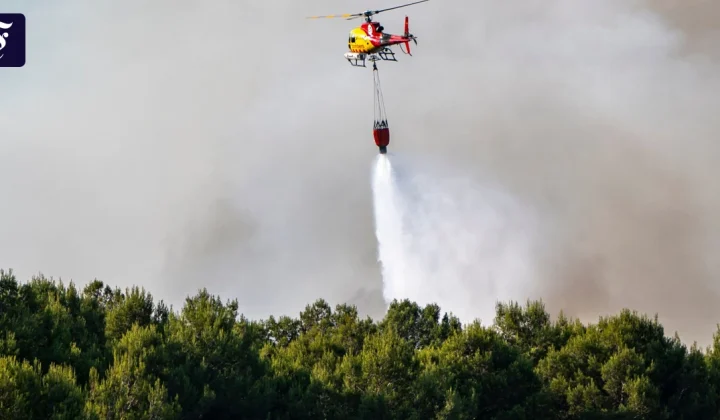 Tödliche Waldbrände in Andalusien: Mindestens zwölf Opfer nach extremer Hitze