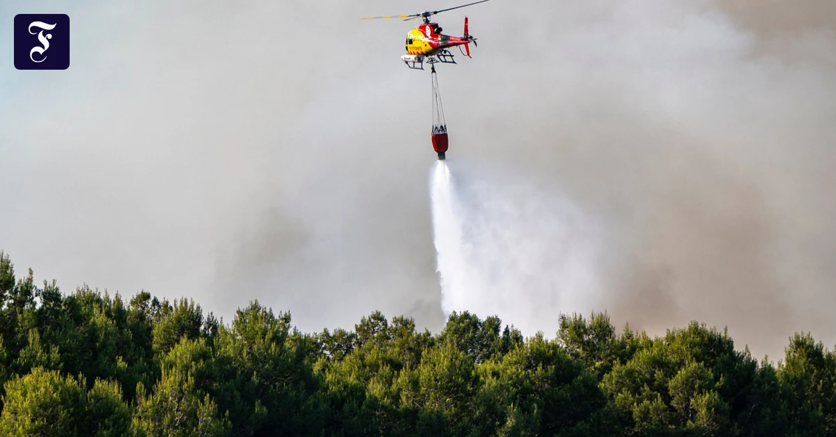 Tödliche Waldbrände in Andalusien: Mindestens zwölf Opfer nach extremer Hitze