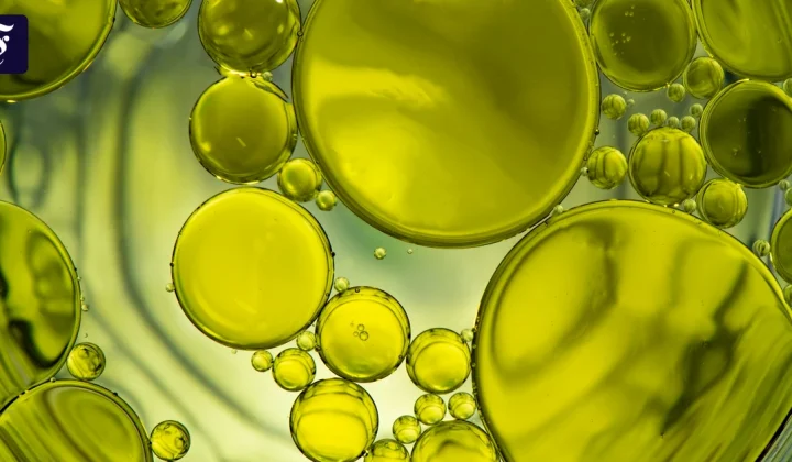 Gefälschtes Olivenöl: So erkennen Sie minderwertige Produkte