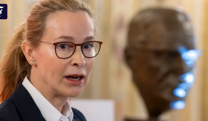 Plagiatsvorwürfe gegen Verfassungsrichter-Kandidatin: Uni Hamburg entlastet Brosius-Gersdorf